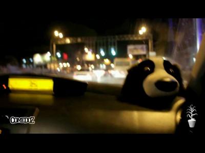 �������� ������ 5 ����� xvid 001