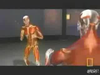 �������� �������