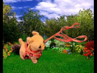 ������� � ��������, ��������, ������