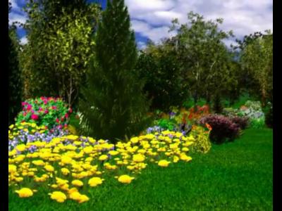 ����� �� ������� www.live-toys.com