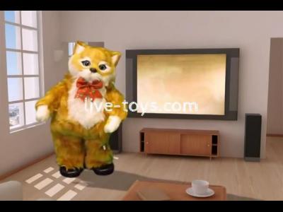 ��� ���������� �����