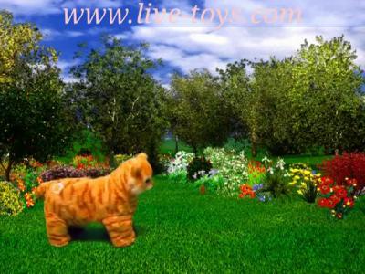 ����� ��������, ������