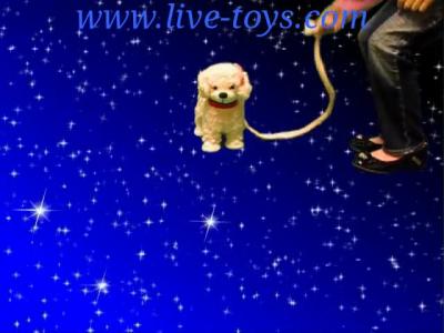 ������ � �������� ������