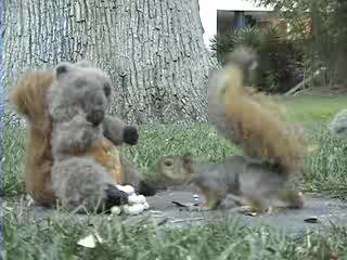 ����� ��ң��� � ����� ������