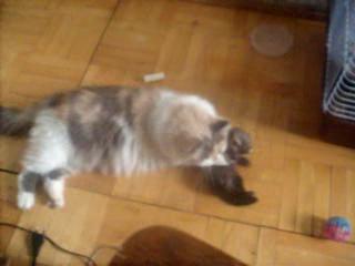 ����� �� �����