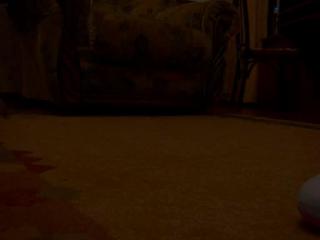 08.10.2010 0:11:43