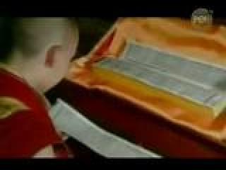 �������� ����