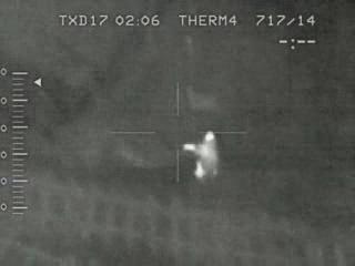 ���������. �������