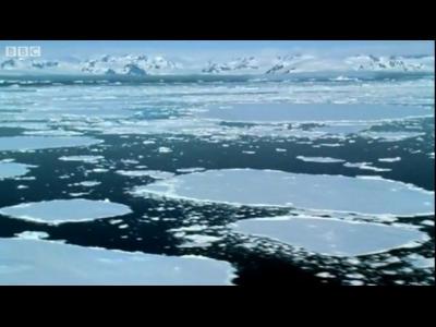 �������� ...