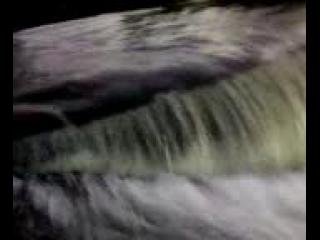 ������� ������� , ��!!