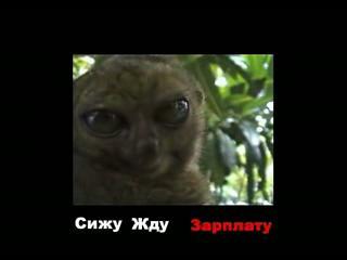 ����, ��� ��������...