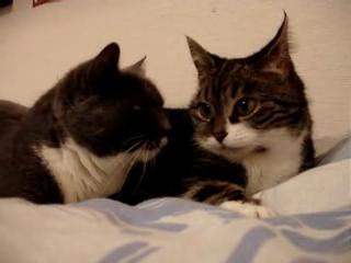 ��� ������ �������� :)