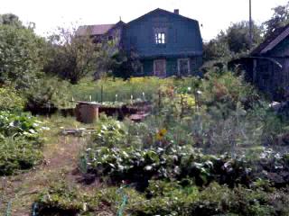 �������!!!!