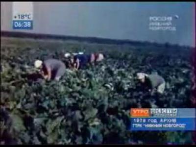 ��� ������������� (�������� 1978)