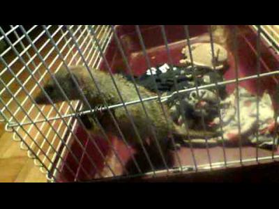 ������� 1