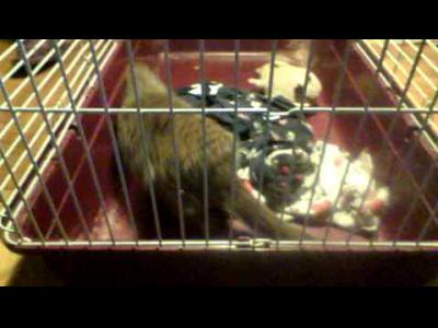 ������� 2