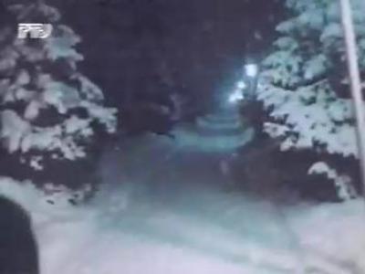 ����-������ �����(��������� � ������ ����)