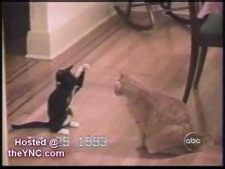 �������� �����