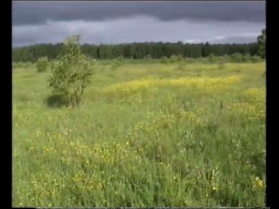 �� �������-������ 12.06.03