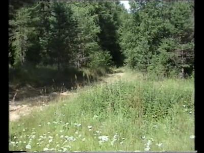 ������� ������- �������� 2005