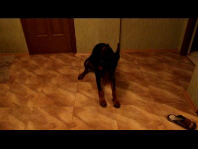 ������� ������