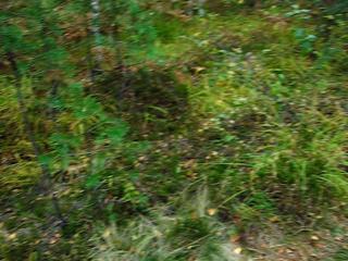 ������ ����� �������� ������� :)))