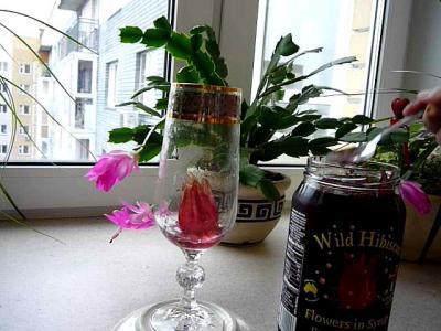 ���������� � �������