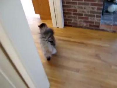 �������� � ��������.