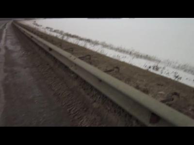 \"���������\" �����