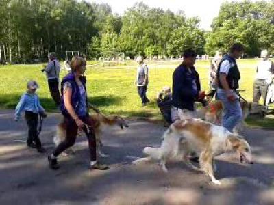 Video-2013-06-02-10-55-44