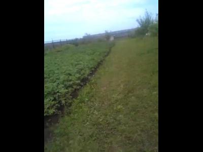 VIDEO0032