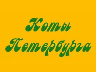 ���� ����������