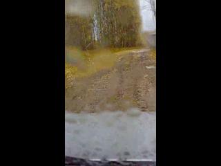 ���������� ����� 2009