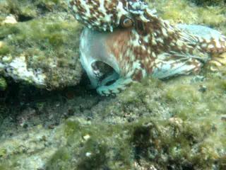 ��������, ����� ���������� �� ��� :))