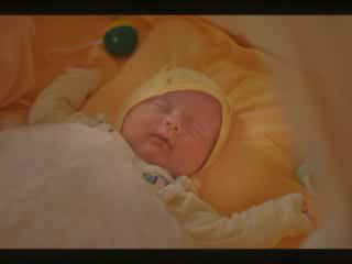 ���� ������ �� �����