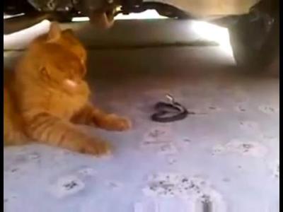 ��� � ����.