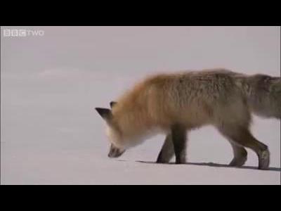 ���� �� ����� ����� �� �����