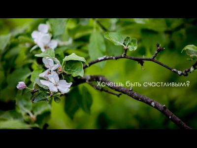 ���� ���������� Lovestory ��� meetstory-���������� ����-20121114