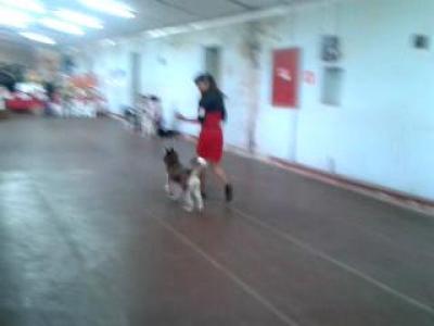 Video-2012-09-30-11-28-27