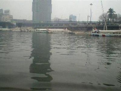 ������ 2012 101