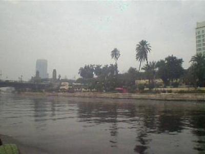 ������ 2012 102