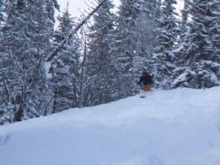 ���� ���