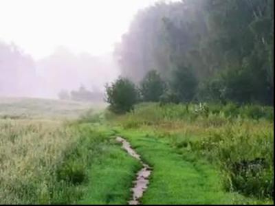 � �ӣ-���� ����