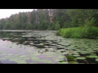 ������ �����