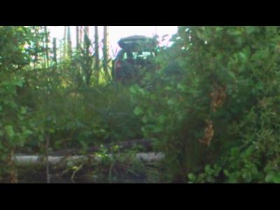 ������ ����� 2