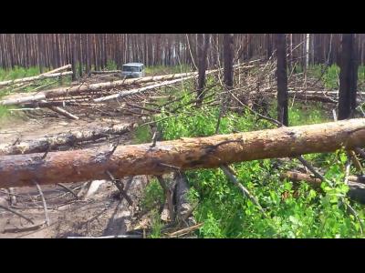 ���� ���������