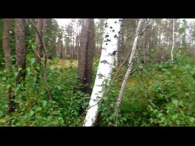 ������ ���� ����� ������� ����