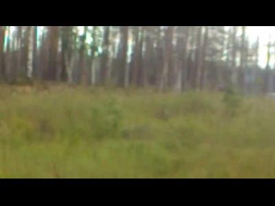 ����������� ������-������