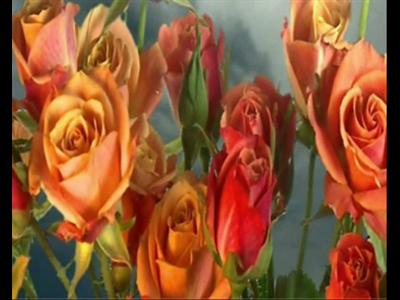 ������ 0001