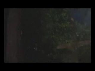 ������ ��������